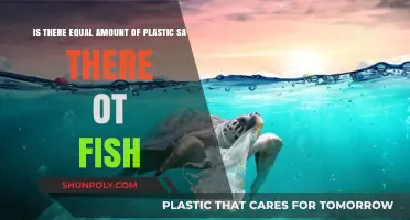 Plastic Plague: Our Oceans' Fish Population Dwarfed by Waste