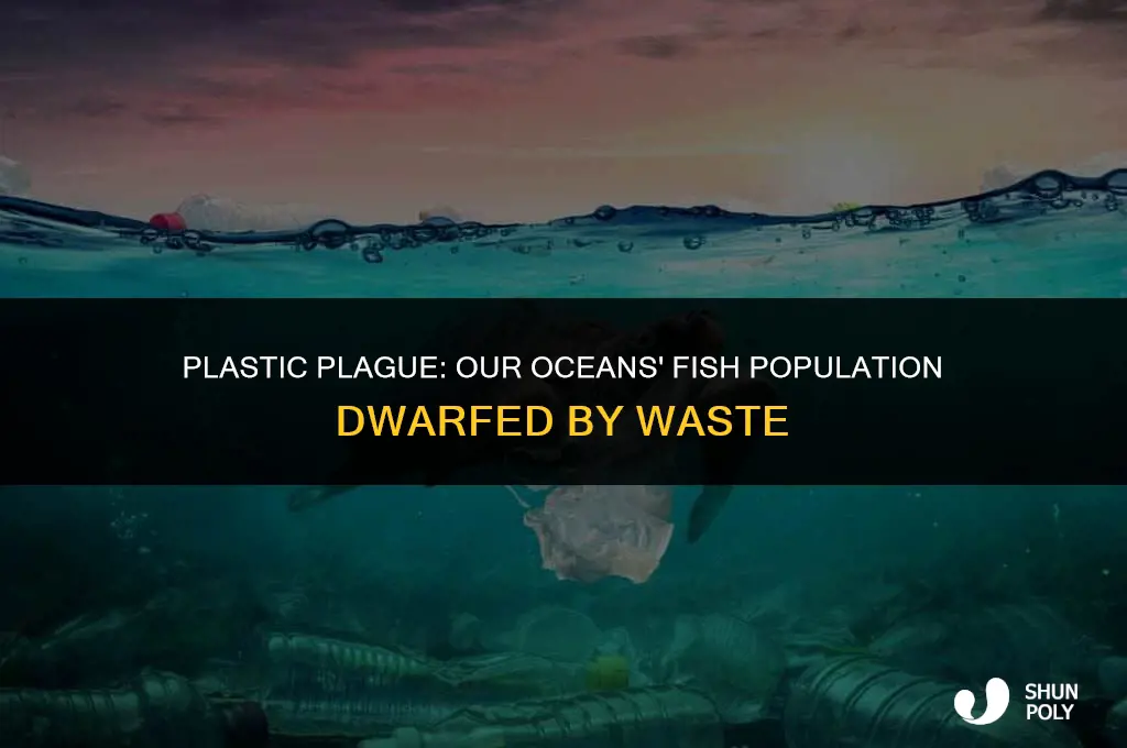 is there equal amount of plastic sa there ot fish