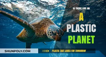 Plastic Planet: Is Life Possible?