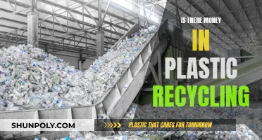 Lucrative Plastic Recycling: Is It a Money-Making Business?