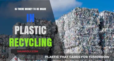 Profiting from Plastic Recycling: Opportunities and Challenges in a Green Economy