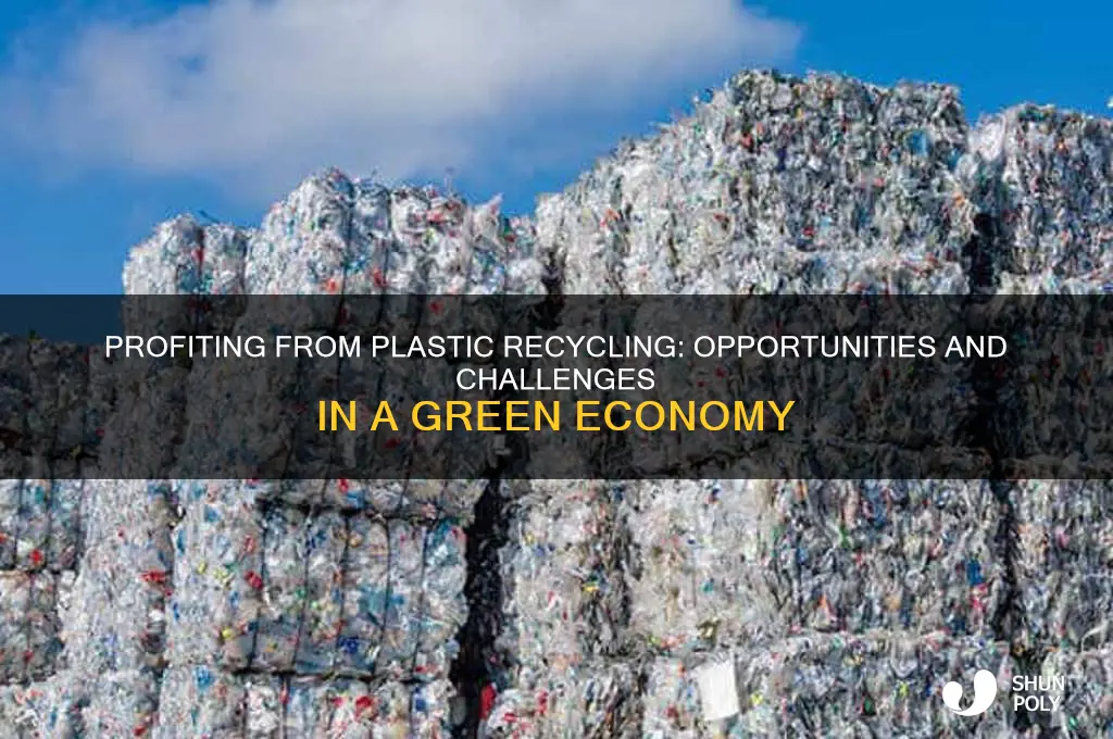is there money to be made in plastic recycling