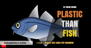 Plastic Pollution: More Plastic than Fish?