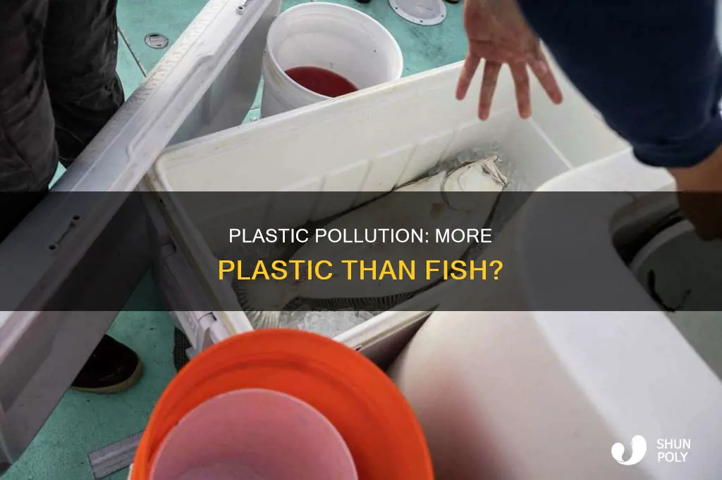 is there more plastic than fish