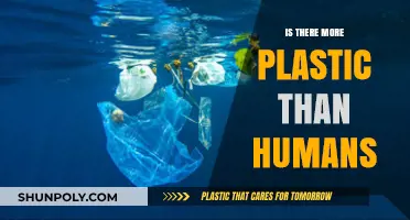 Plastic Pollution: More Than Us?