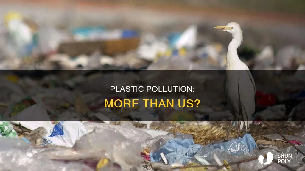 is there more plastic than humans