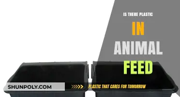 Plastic in Animal Feed: What's the Truth?