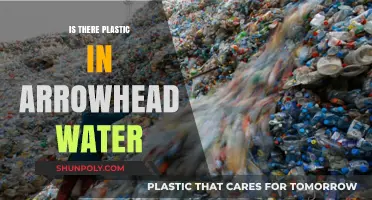 Arrowhead Water: Plastic Pollution Problem?
