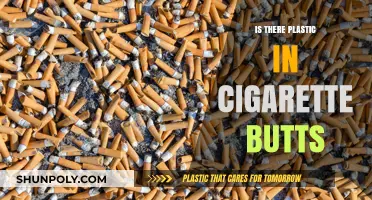 Cigarette Butts: Plastic Pollution in Disguise