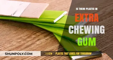 Chewing Gum: Plastic or Not?