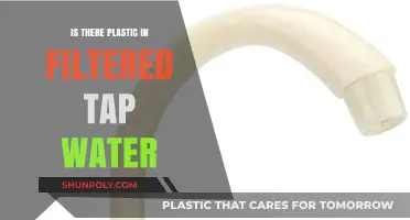 Filtered Tap Water: Is Plastic Lurking Within?