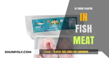 Plastic in Fish: A Real Danger?