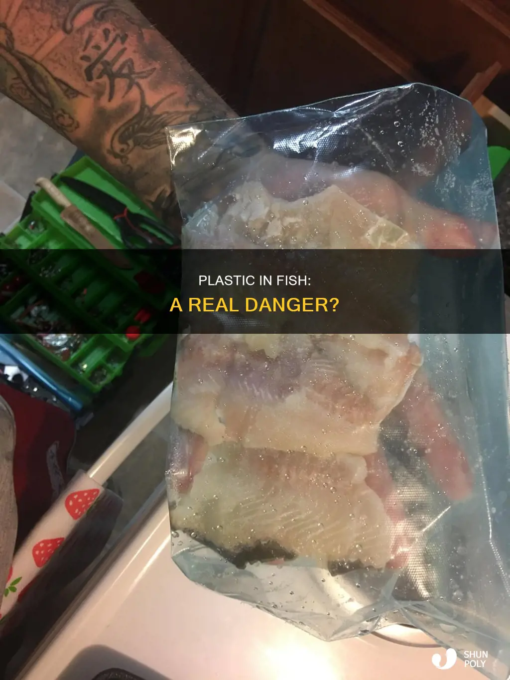 is there plastic in fish meat