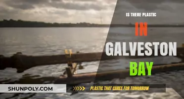 Galveston Bay: Plastic Pollution and its Impact