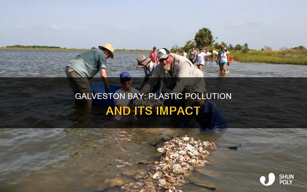 is there plastic in galveston bay