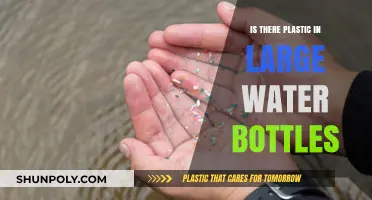 Are Large Water Bottles Contaminated with Plastic Particles?