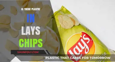 Lays Chips: Plastic or Not?
