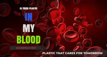 Plastic in Blood: Is It Possible?