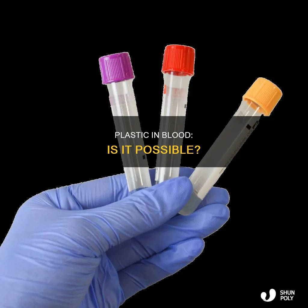 is there plastic in my blood