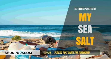 Sea Salt and Plastic: A Toxic Mix?
