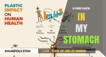 Plastic in our Stomachs: The Unseen Health Crisis
