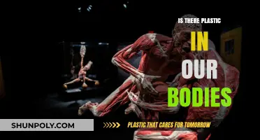 Plastic in our bodies: How much is too much?