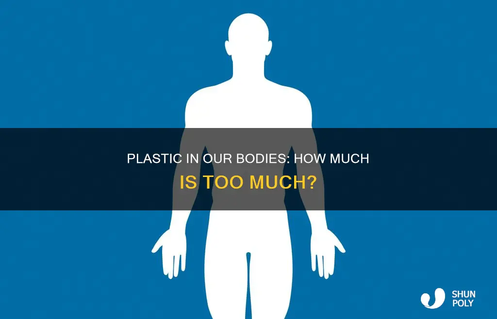 is there plastic in our bodies