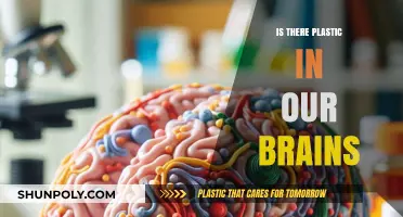 Plastic in our Brains: Is it Possible?