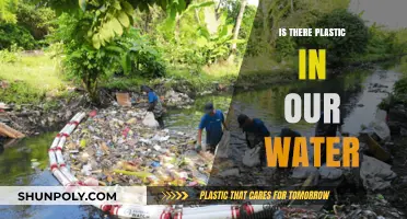 Plastic in Our Water: What's the Truth?