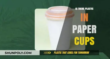 Paper Cups: Plastic's Sneaky Disguise?