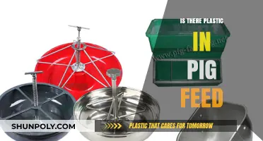 Plastic in Pig Feed: A Real Concern?
