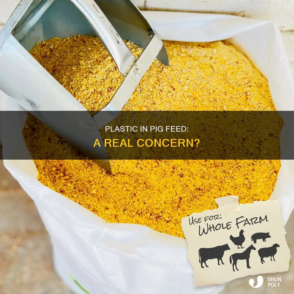 is there plastic in pig feed