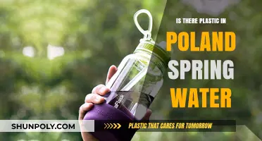 Poland Spring Water: Is Plastic a Problem?