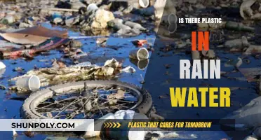 Plastic Rain: An Unseen Danger