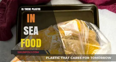 Plastic in Seafood: How Worried Should We Be?