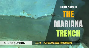 Plastic Pollution in the Mariana Trench