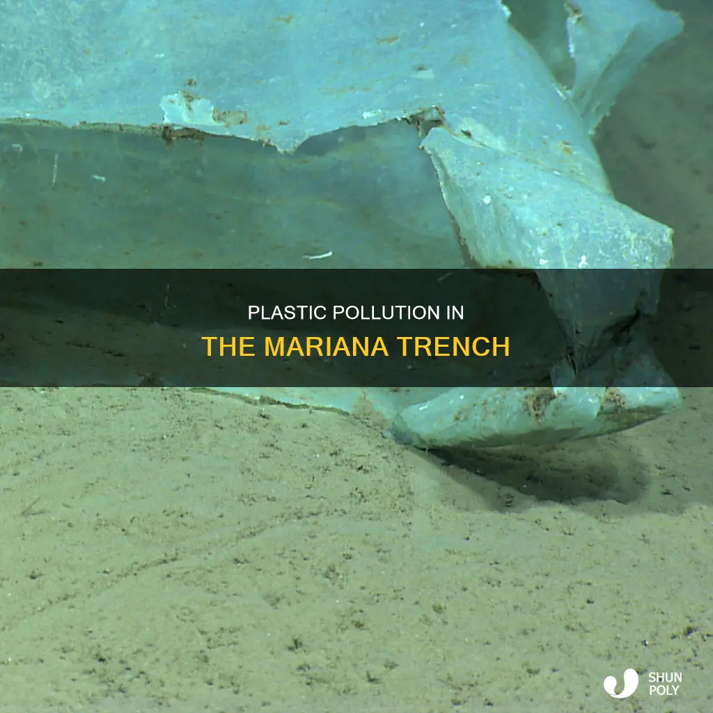 is there plastic in the mariana trench