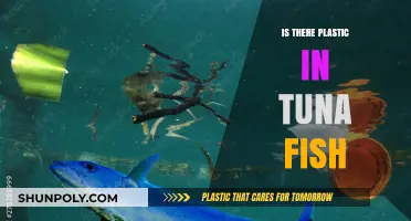 Plastic in Tuna: How Concerned Should We Be?