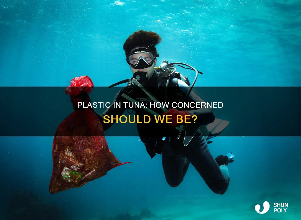 is there plastic in tuna fish