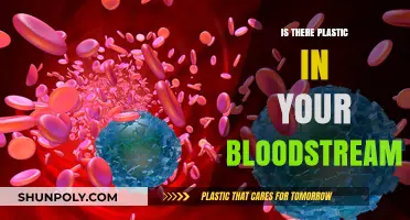 Plastic in Blood: Is It Possible?