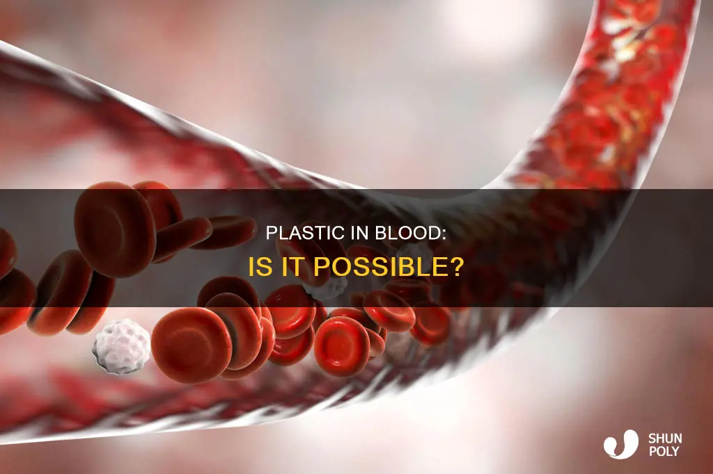 is there plastic in your bloodstream
