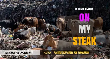 Plastic on Your Plate: Is Your Steak Safe?