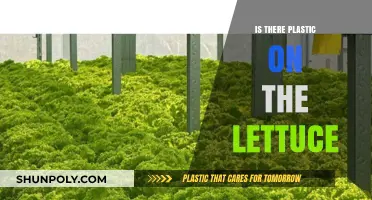 Plastic in Lettuce: How Did We Get Here?
