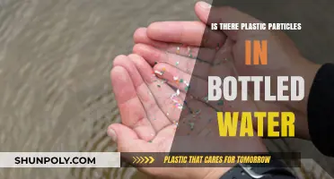 Plastic Particles in Bottled Water: Unseen Dangers and Health Concerns