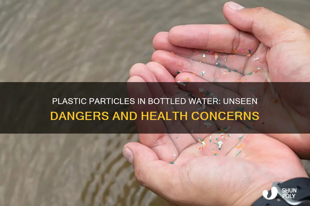 is there plastic particles in bottled water
