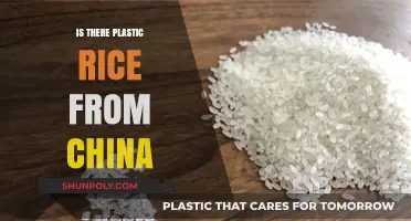 Plastic Rice: China's Fake Food Scandal