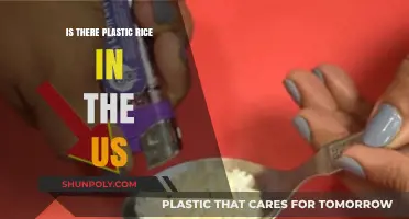 Plastic Rice: Is the US Safe?