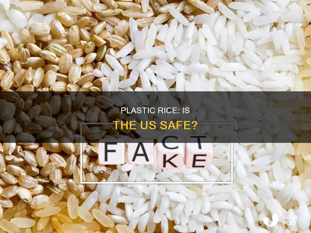 is there plastic rice in the us