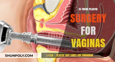 Exploring Vaginal Rejuvenation: Is Plastic Surgery an Option for You?