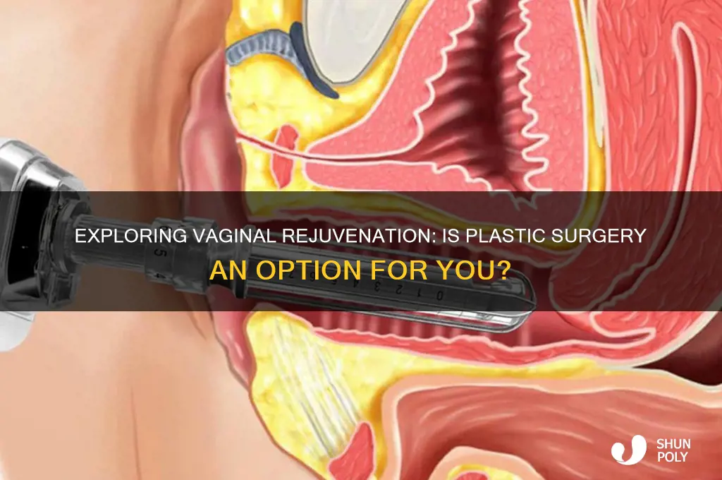 is there plastic surgery for vaginas